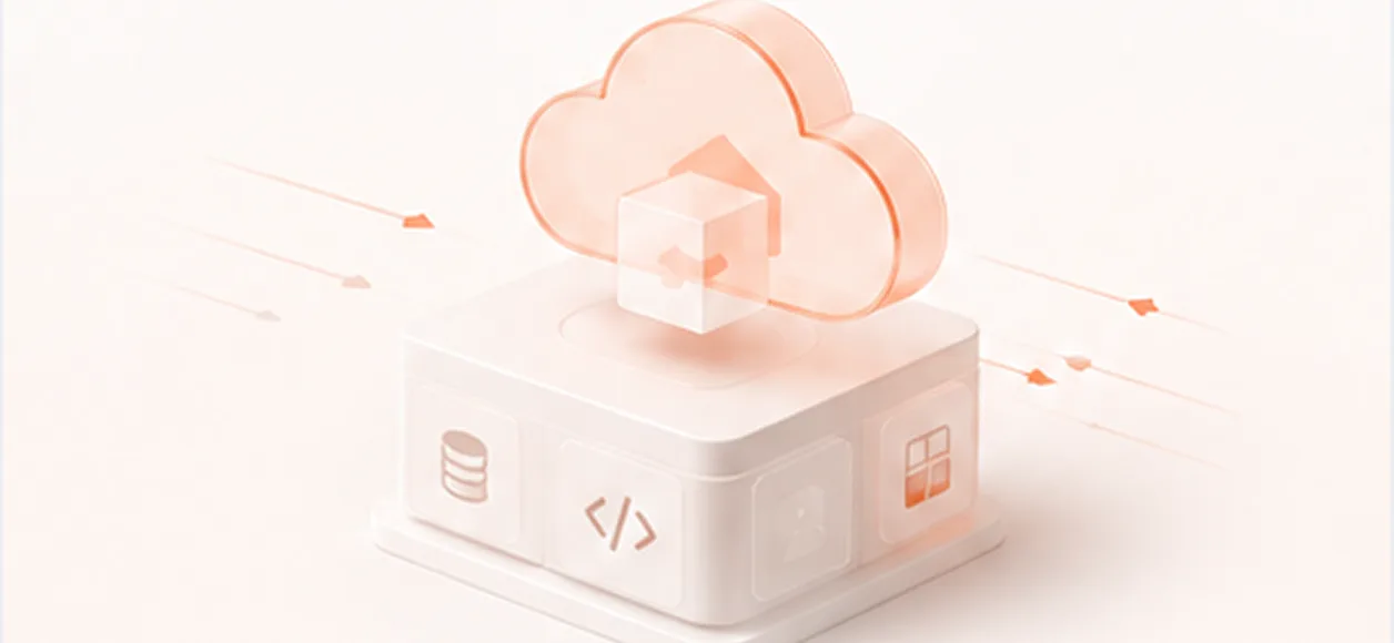 Legacy system modernization